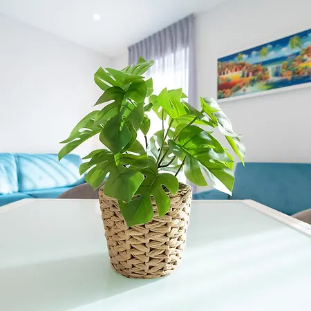 Apartmán Tema - Dimore Partenopee Neapol